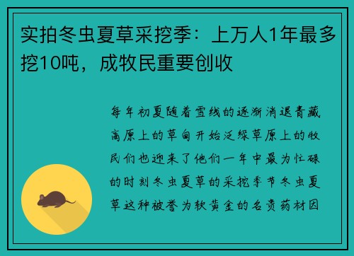 实拍冬虫夏草采挖季：上万人1年最多挖10吨，成牧民重要创收